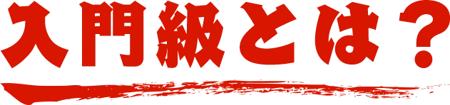 入門級とは？